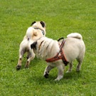 DSC08334.JPG