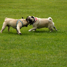 DSC08340.JPG
