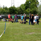 DSC08343.JPG