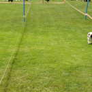 DSC08346.JPG