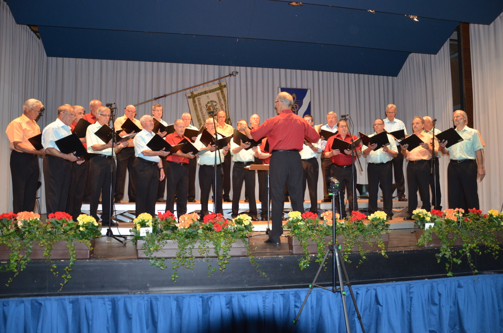 DSC_1534_JPG-1370816802