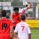 IMG_3208_jpg-1370853688