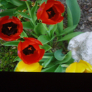 IMGP3518_JPG-1267992211