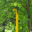 Pfadi H__chst 09-06-13 103_jpg-1370854751