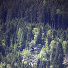 normal_09062013holzde01001aktivnews_006.JPG