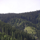 normal_09062013holzde01001aktivnews_011.JPG