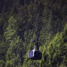 normal_09062013holzde01001aktivnews_036.JPG