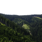 normal_09062013holzde01001aktivnews_055.JPG