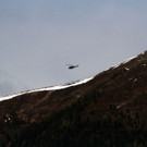normal_09062013holzde01001aktivnews_057.JPG