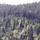 normal_09062013holzde01001aktivnews_123.JPG