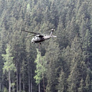 normal_09062013holzde01001aktivnews_175.JPG