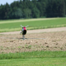 normal_09062013flugtagde05012aktivnews__365.JPG