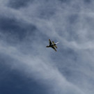 normal_09062013flugtagde05012aktivnews__459.JPG
