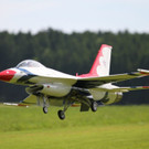 normal_09062013flugtagde05012aktivnews__480.JPG