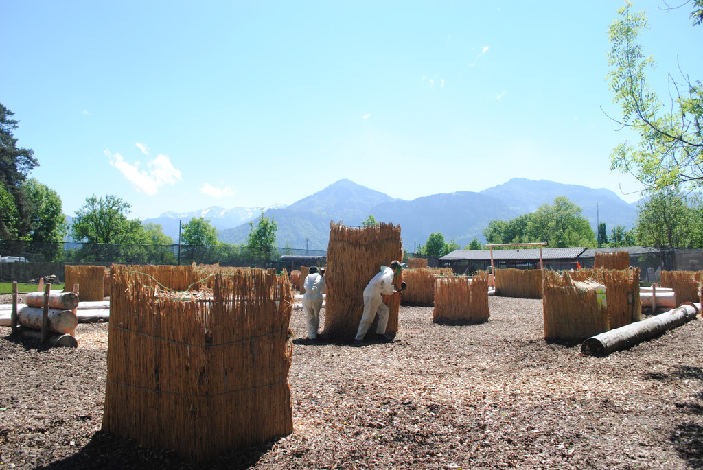 paintball_JPG-1370873670