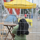 ABD0082-20130610.jpg