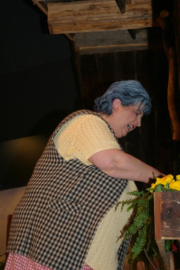 mini-bea_FraschtnerB__hne_Premiere_UnsereliebenNachbarn 015.jpg