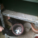 Mutmaßlicher Dealer in Brigittenau gefasst: Kokain in Blumentopf versteckt