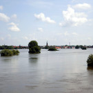 IBD0500-20130611.jpg