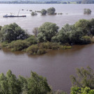 IBD0347-20130611.jpg