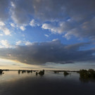 829888f41f5949bb8cfef36be9ad6cb6-829888f41f5949bb8cfef36be9ad6cb6-0.jpg