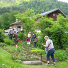 IMG_8581.jpg