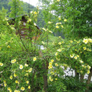 IMG_8582.jpg