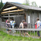 IMG_8583.jpg