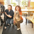 Körpersprache für den Hund: Der Workshop