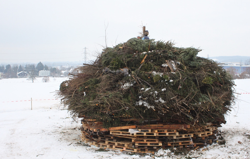 Rat von Hofen ZUNFT Aktivit__ten SYMBOL _14__jpg-1370978716