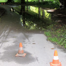 DSCN7105_JPG-1370993050