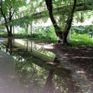 DSCN7107_JPG-1370993058