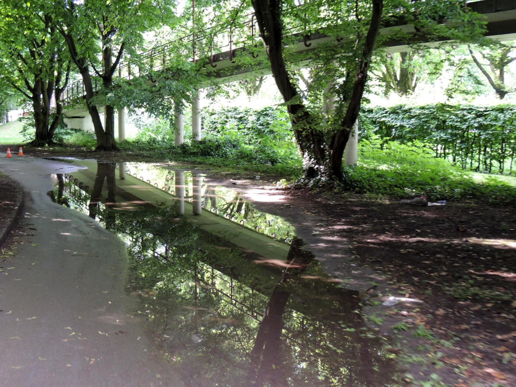 DSCN7107_JPG-1370993058