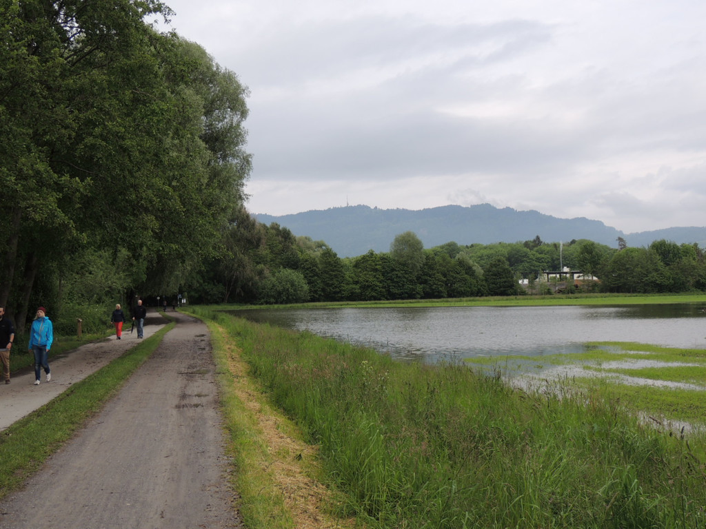 DSCN4603_JPG-1370993187