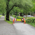 DSCN4654_JPG-1370993192