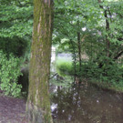 DSCN4666_JPG-1370993217