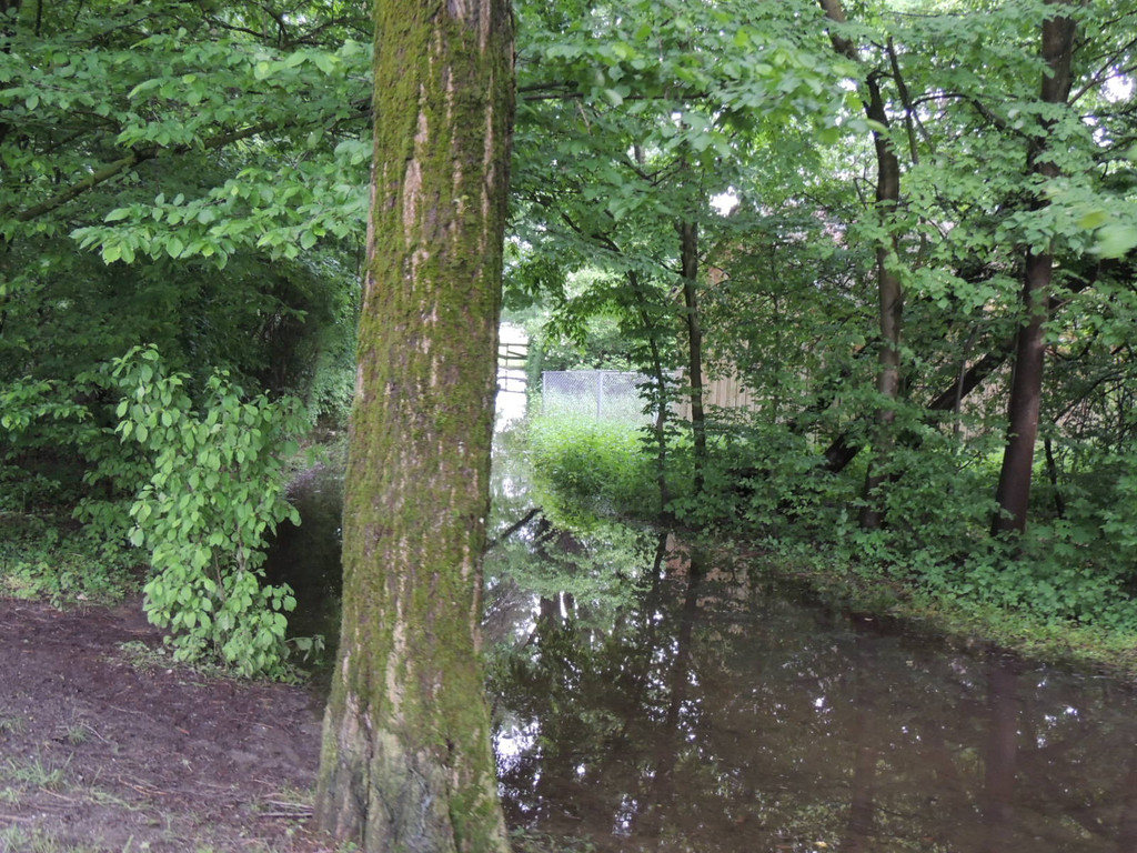 DSCN4666_JPG-1370993217