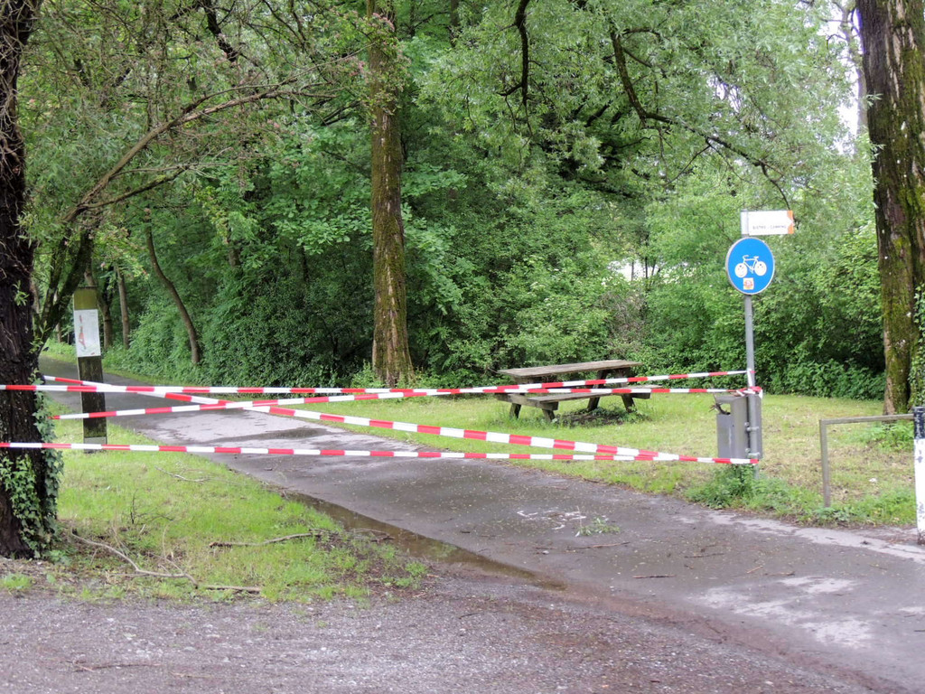 DSCN4657_JPG-1370993200