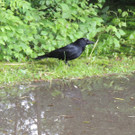 DSCN4659_JPG-1370993204