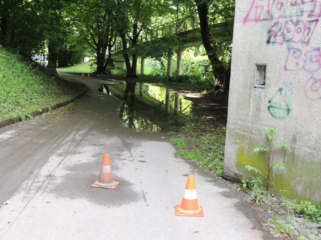 DSCN7106_JPG-1370993054