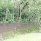 DSCN4664_JPG-1370993213