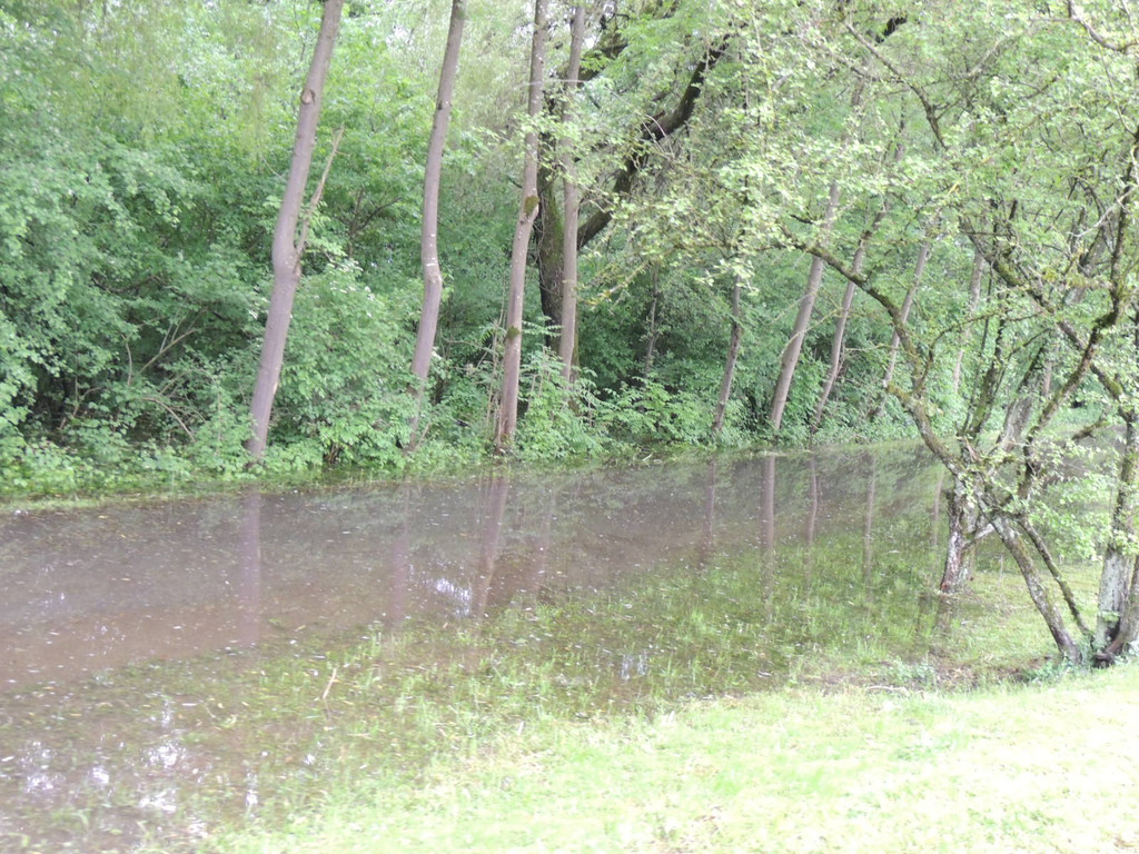 DSCN4664_JPG-1370993213