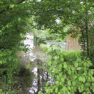 DSCN4667_JPG-1370993221