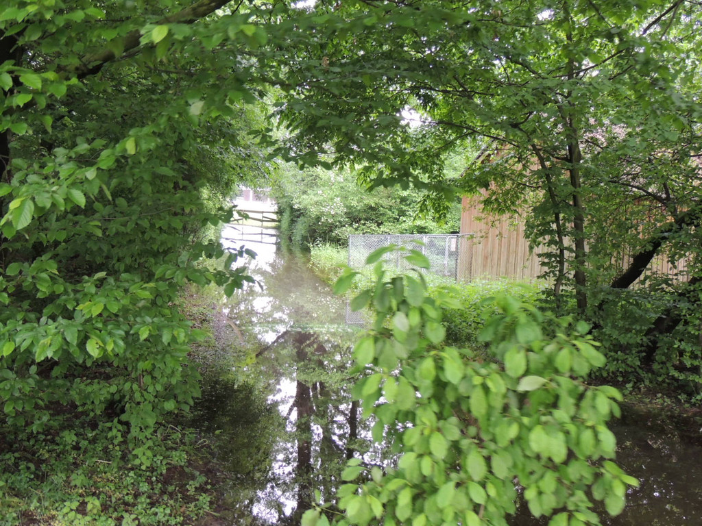 DSCN4667_JPG-1370993221