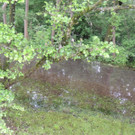 DSCN4661_JPG-1370993209