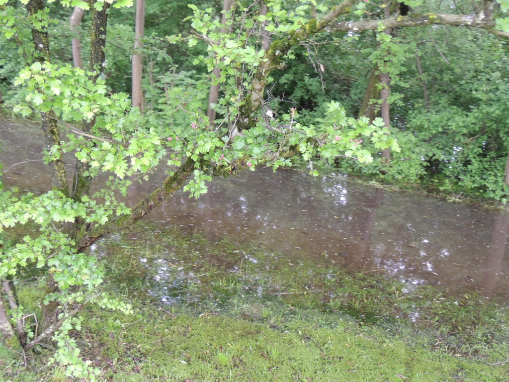 DSCN4661_JPG-1370993209