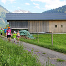 IMG_4026_JPG-1371031827