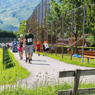 IMG_4057_JPG-1371031891