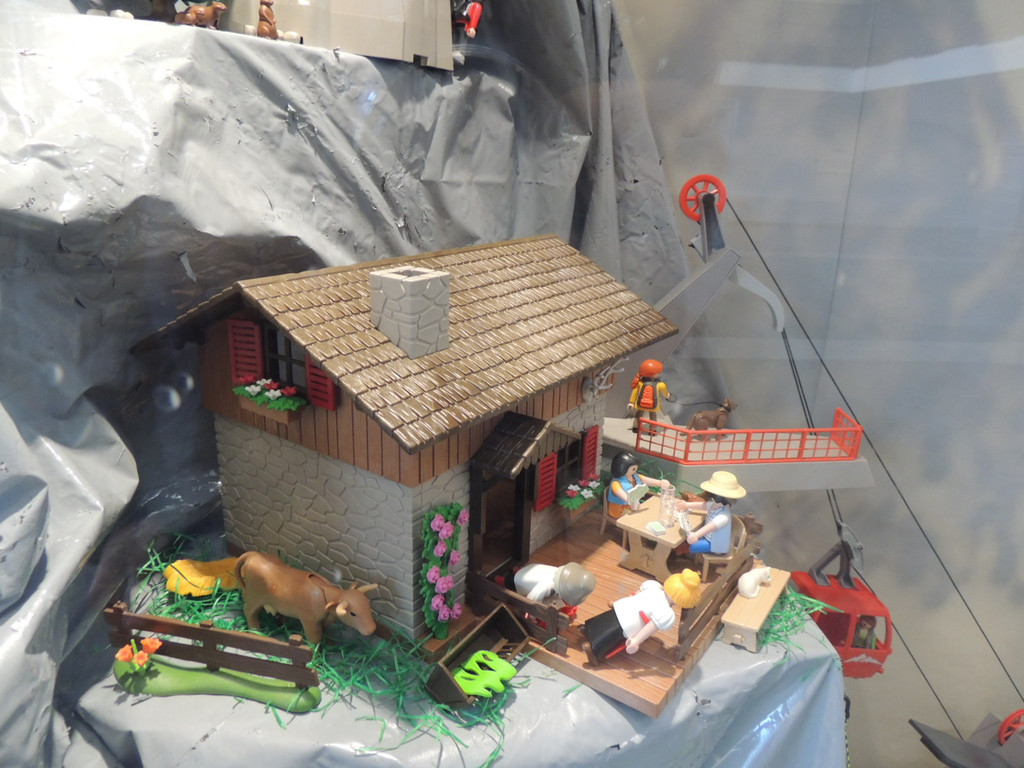 DSCN3504_JPG-1371071345