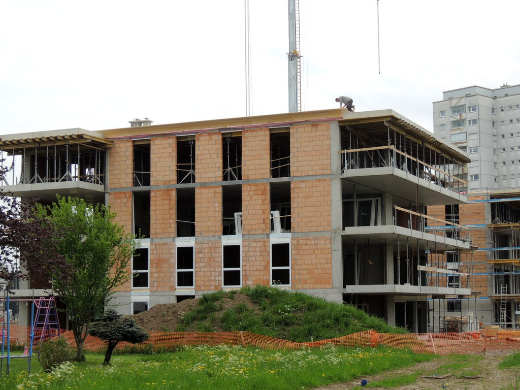 DSCN7198_JPG-1371073535